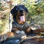 D'hotes Des 2 Lacs 3*