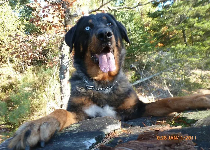 D'hotes Des 2 Lacs 3*